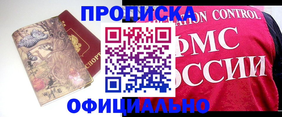 прописка в квартире в Лыткарино